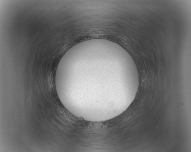 X0000063440866200601200926