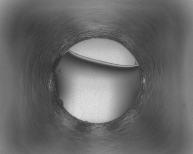 X0000063440867200601200926