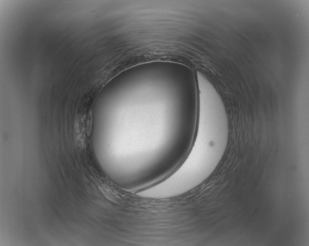 X0000063440868200601200926
