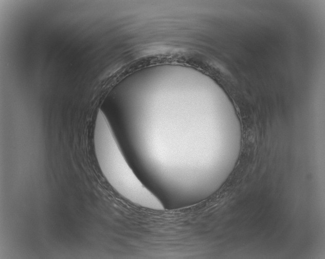 X0000063440869200601200926