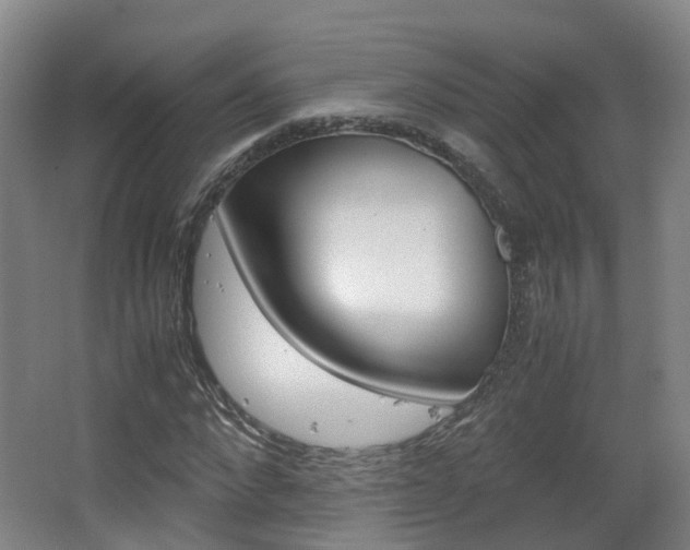 X0000063440872200601200926