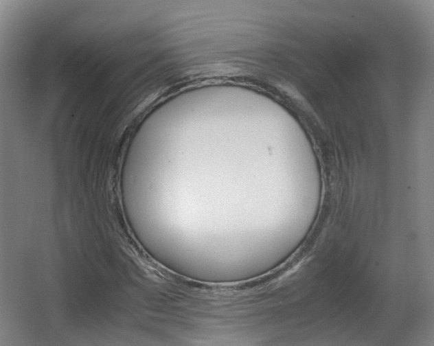 X0000063440873200601200926