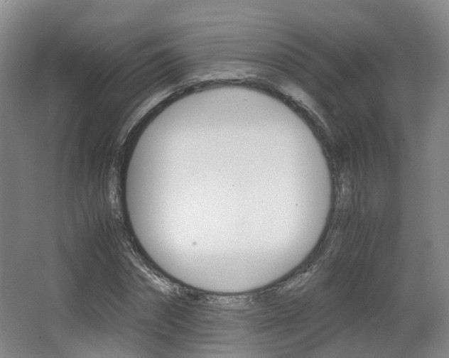 X0000063440874200601200926