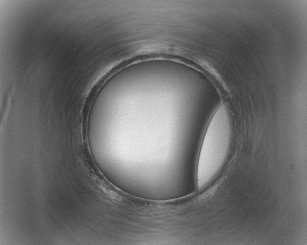 X0000063440877200601200926
