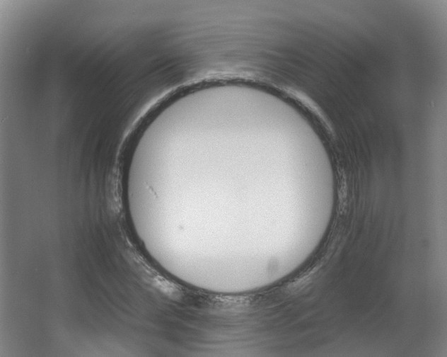 X0000063440878200601200926
