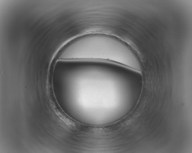 X0000063440880200601200926