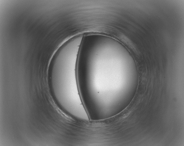 X0000063440884200601200926