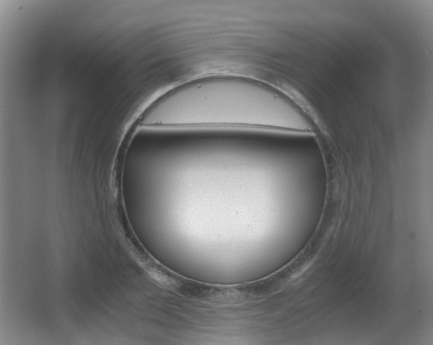 X0000063440885200601200926