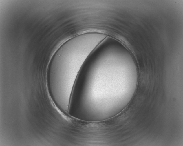 X0000063440898200601200925