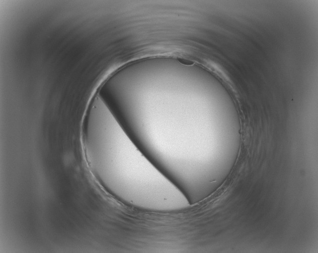 X0000063440899200601200925