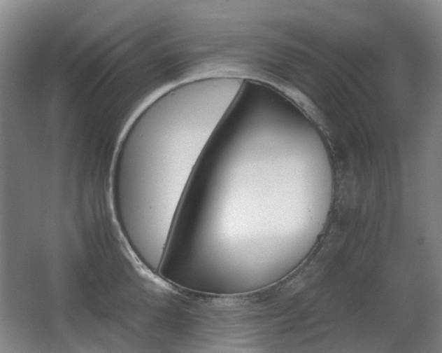 X0000063440904200601200925