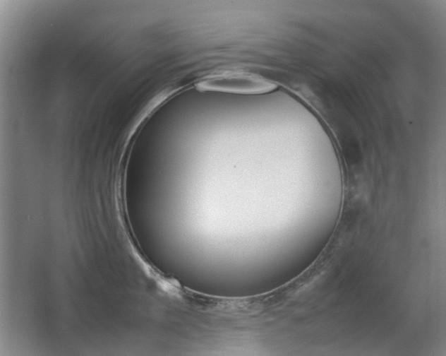 X0000063440909200601200925