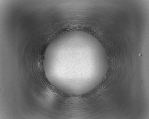 X0000063440914200601200924