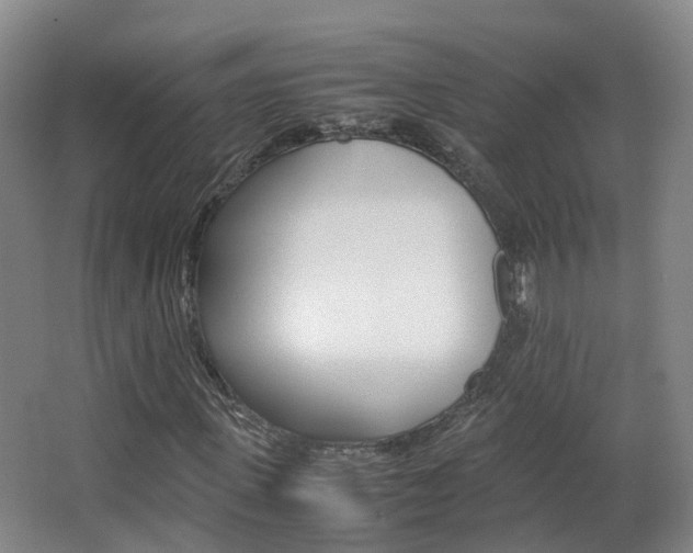 X0000063440915200601200924