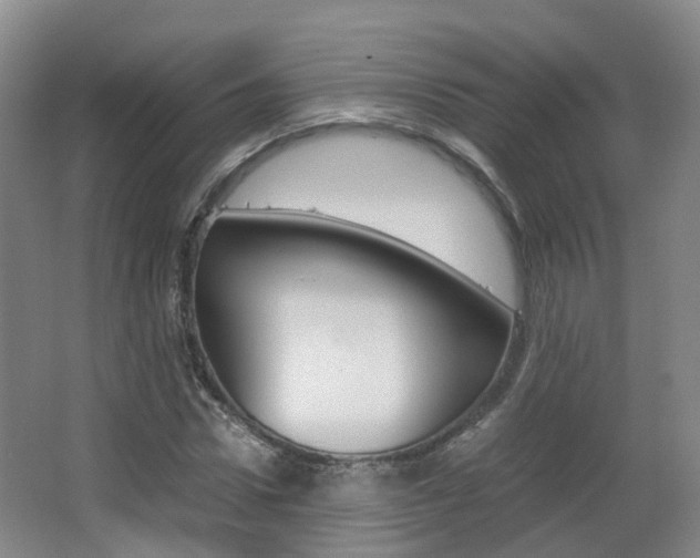 X0000063440922200601200924