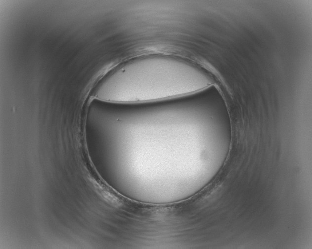 X0000063440930200601200925