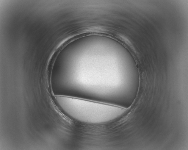 X0000063440931200601200925