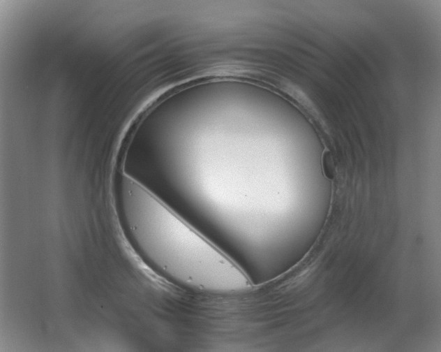 X0000063440939200601200925