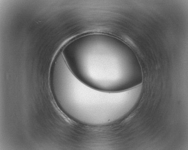 X0000063440940200601200925