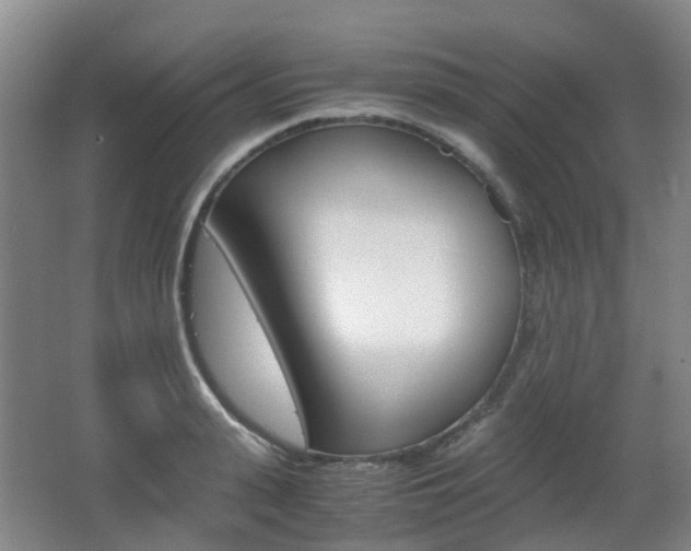 X0000063440943200601200925