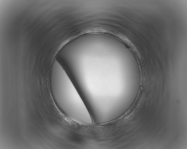 X0000063440945200601200925