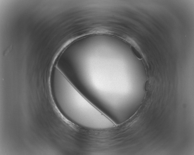 X0000063440947200601200925