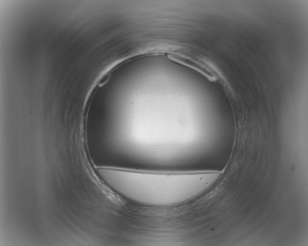X0000063440948200601200925
