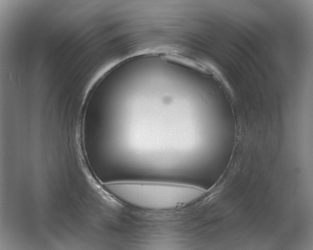 X0000063440952200601200925
