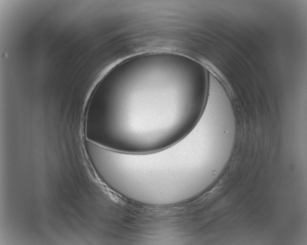 X0000063440956200601200925