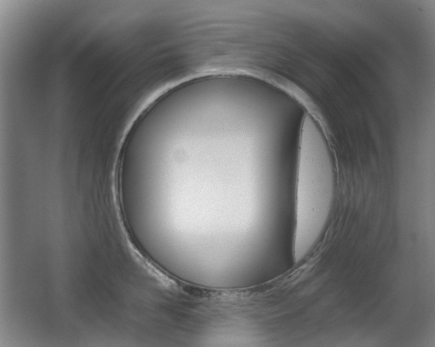 X0000063440958200601200925