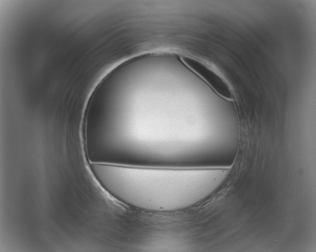 X0000063440959200601200925