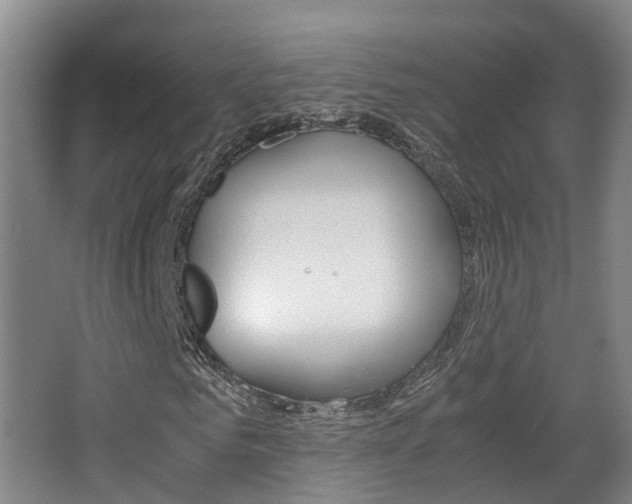 X0000063440961200601200924