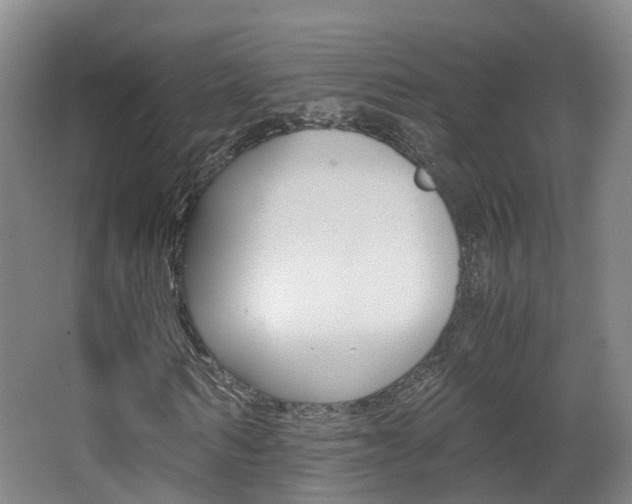 X0000063440962200601200924