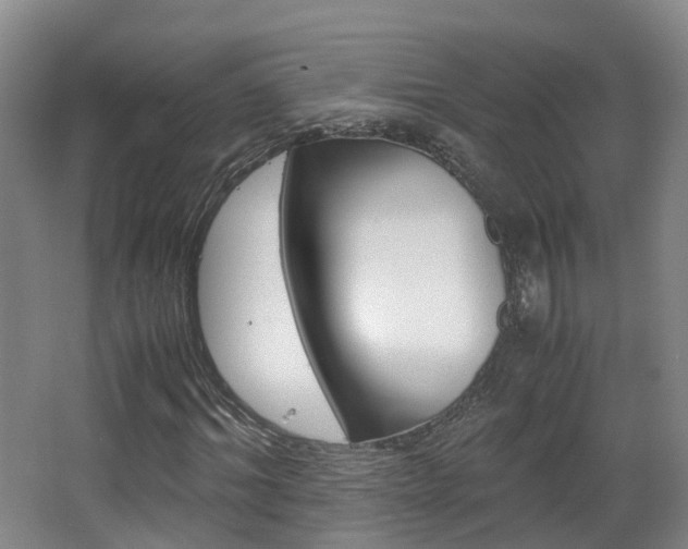 X0000063440964200601200924