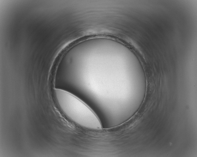 X0000063440975200601200924