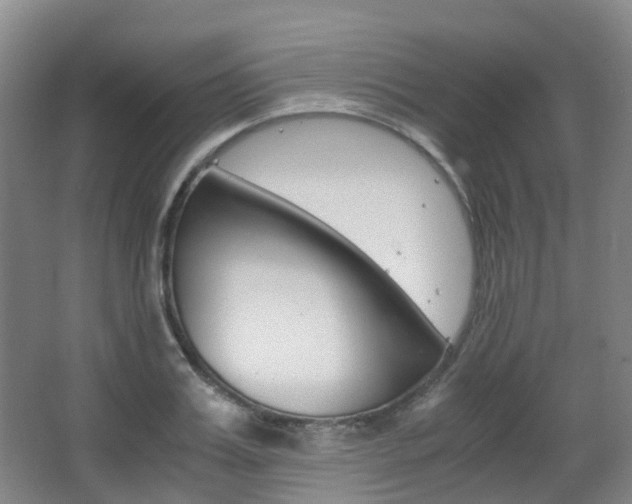 X0000063440987200601200924