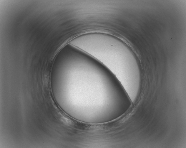 X0000063440993200601200924