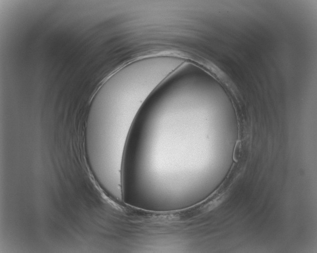 X0000063441001200601200924