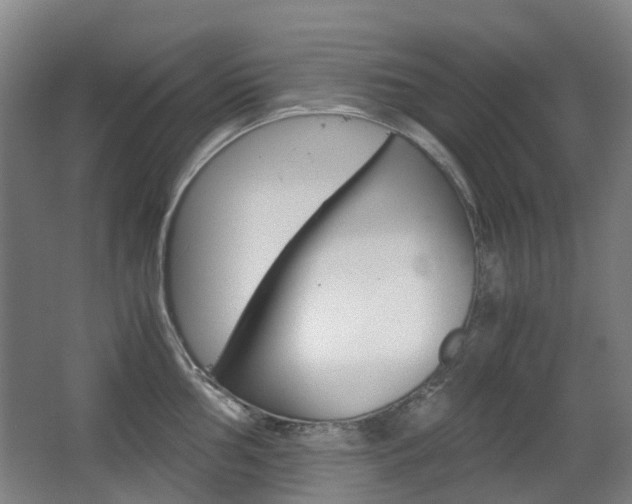 X0000063441002200601200924