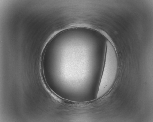 X0000063441005200601200923