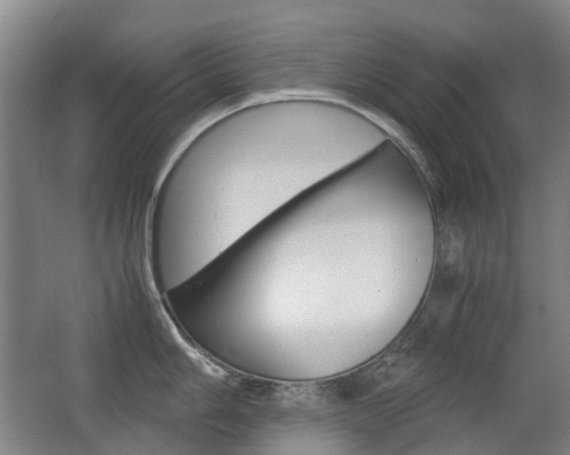 X0000063441006200601200923