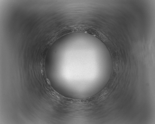 X0000063441010200601200923