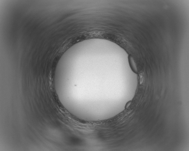 X0000063441011200601200923