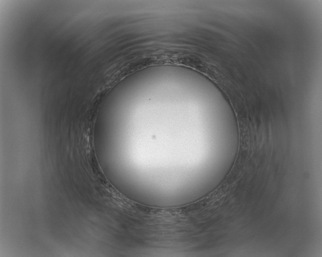 X0000063441013200601200923