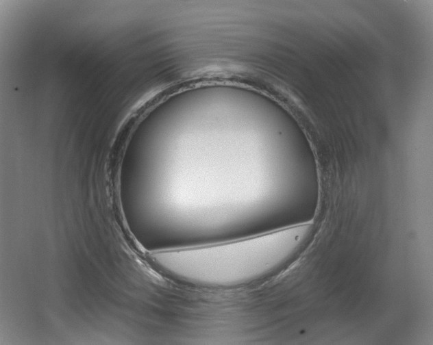 X0000063441018200601200923