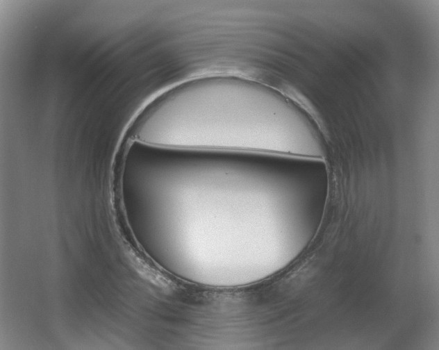 X0000063441020200601200923
