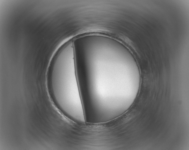 X0000063441024200601200923
