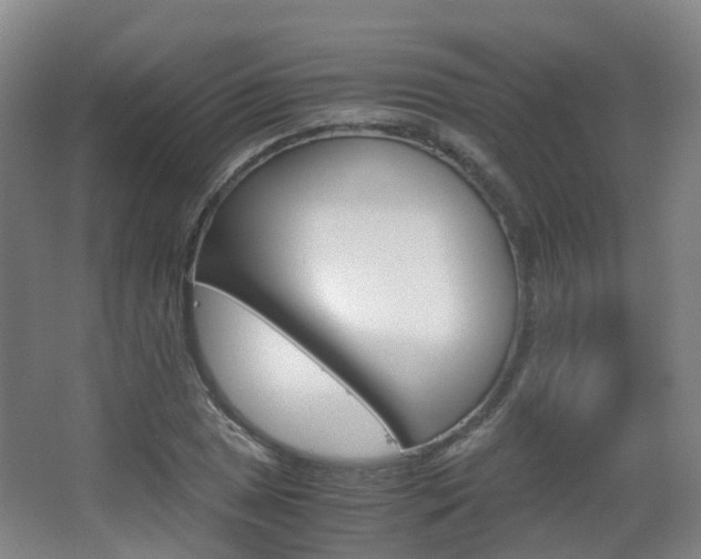 X0000063441025200601200923