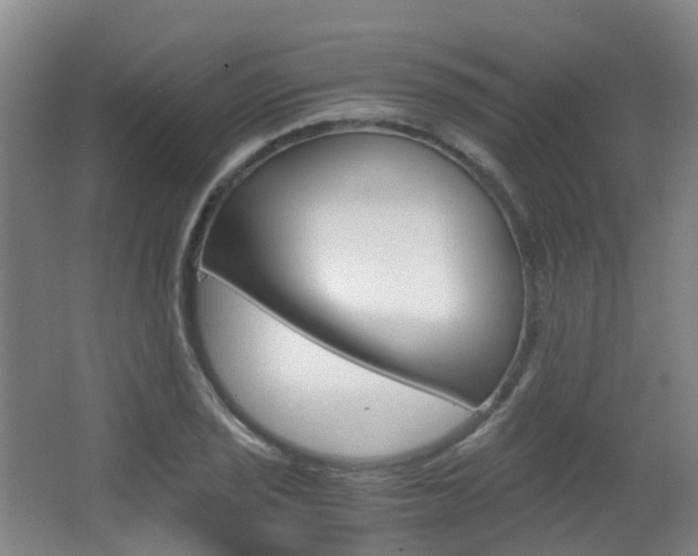 X0000063441029200601200923