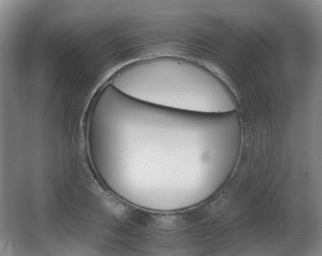 X0000063441031200601200923